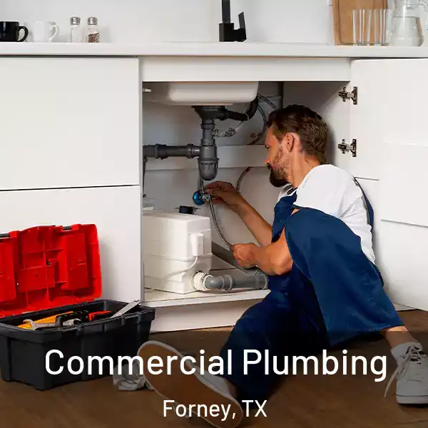  Commercial Plumbing Forney, TX