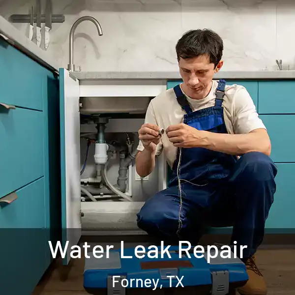  Water Leak Repair Forney, TX